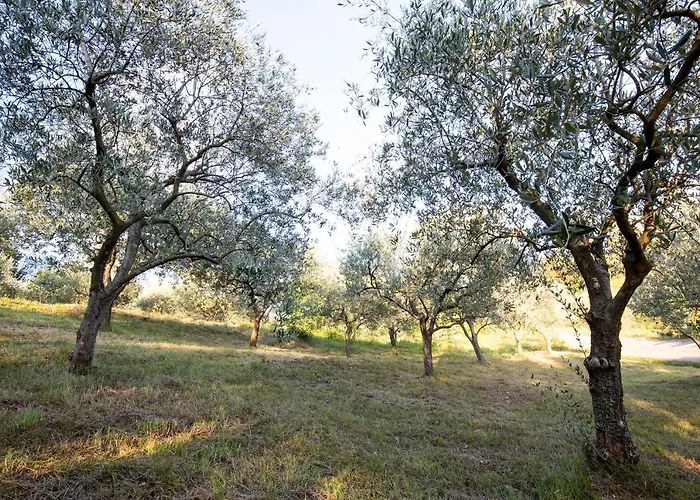 Agriturismo Valbare