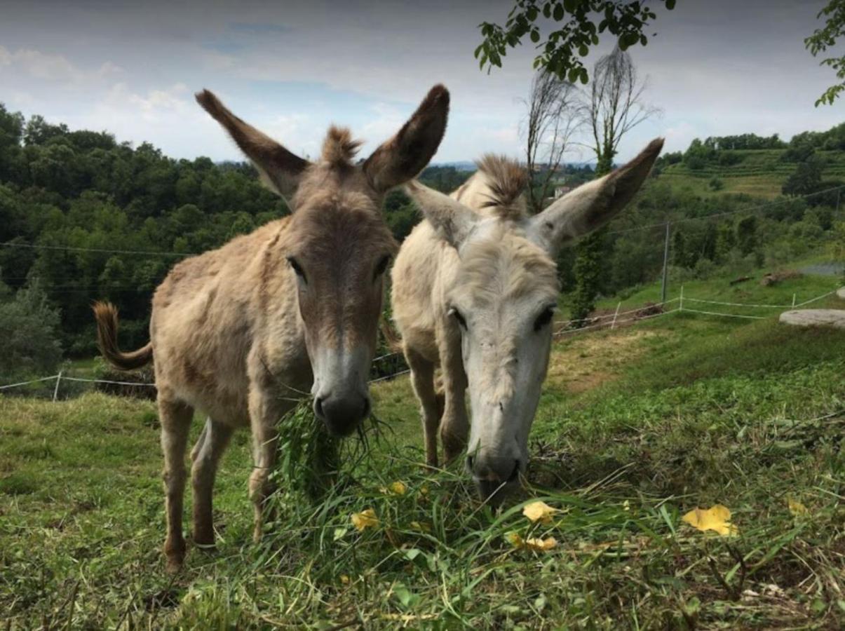 Valbare Vakantieboerderij *